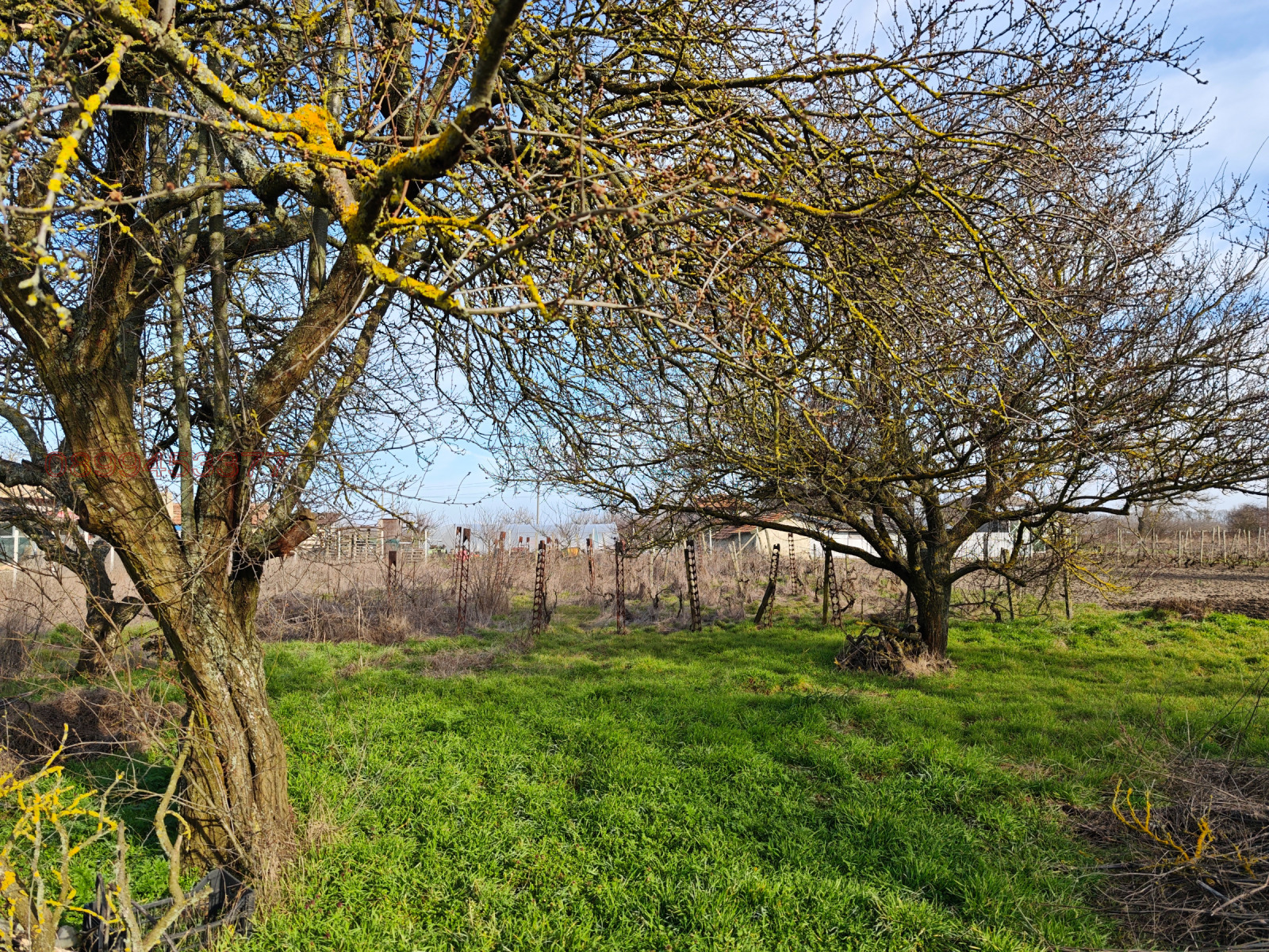 Продава КЪЩА, с. Дъбовик, област Добрич, снимка 16 - Къщи - 53826493