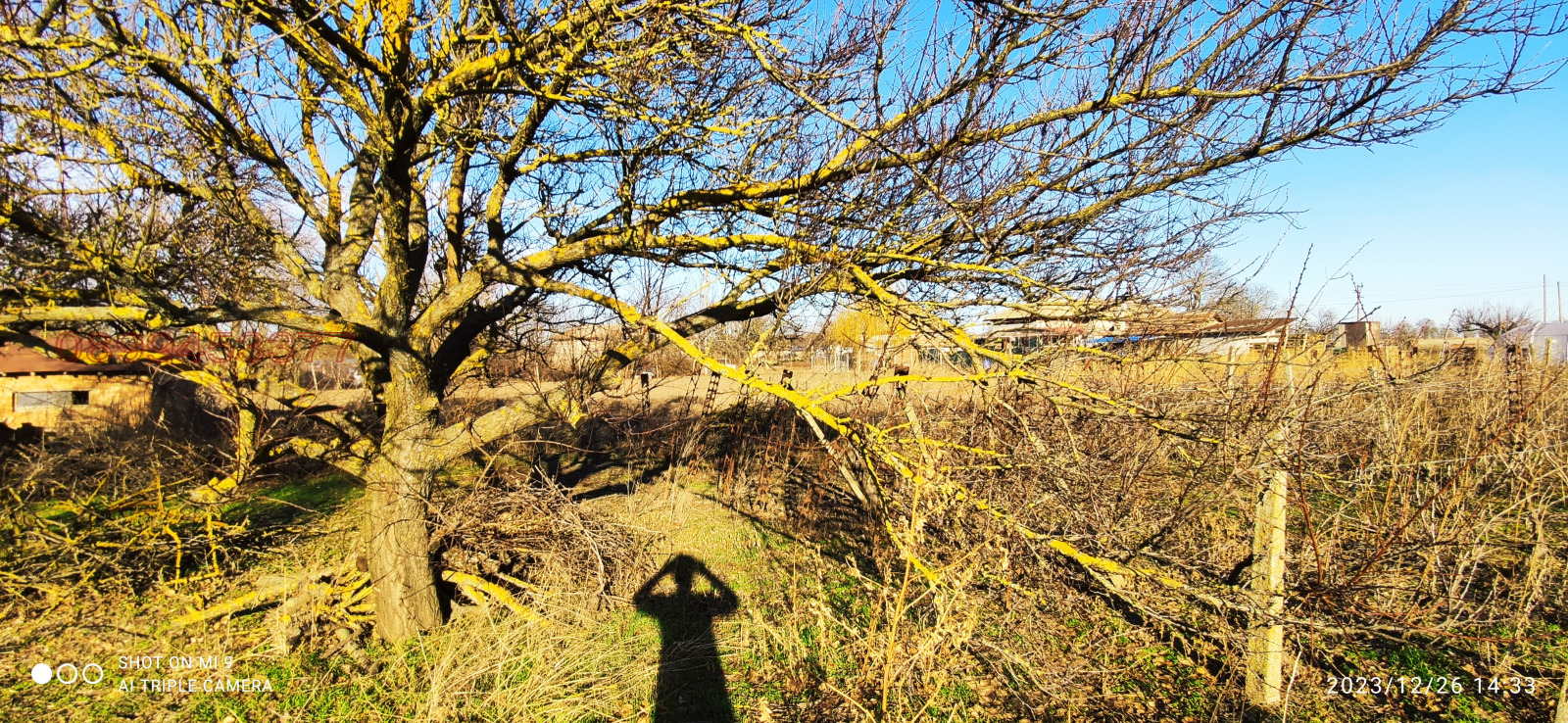 Продава КЪЩА, с. Дъбовик, област Добрич, снимка 15 - Къщи - 53826493