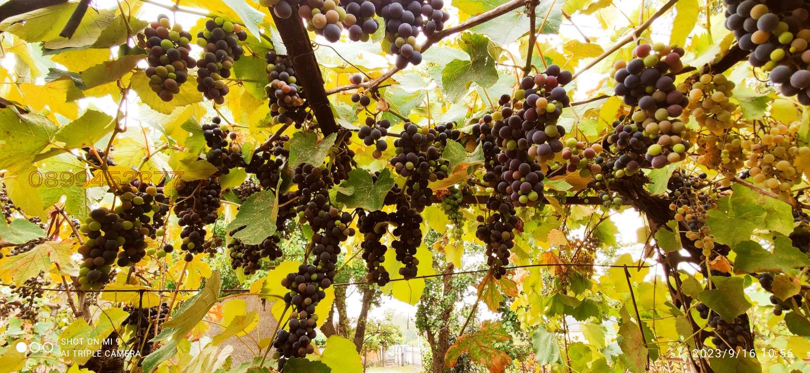 Продава КЪЩА, с. Дъбовик, област Добрич, снимка 3 - Къщи - 53826493