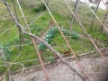 Продава КЪЩА, с. Сливек, област Ловеч, снимка 11