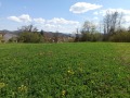 Продава ПАРЦЕЛ, гр. Троян, област Ловеч, снимка 15