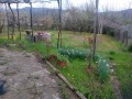 Продава  Къща област Ловеч , с. Сливек , 200 кв.м | 95212152 - изображение [9]