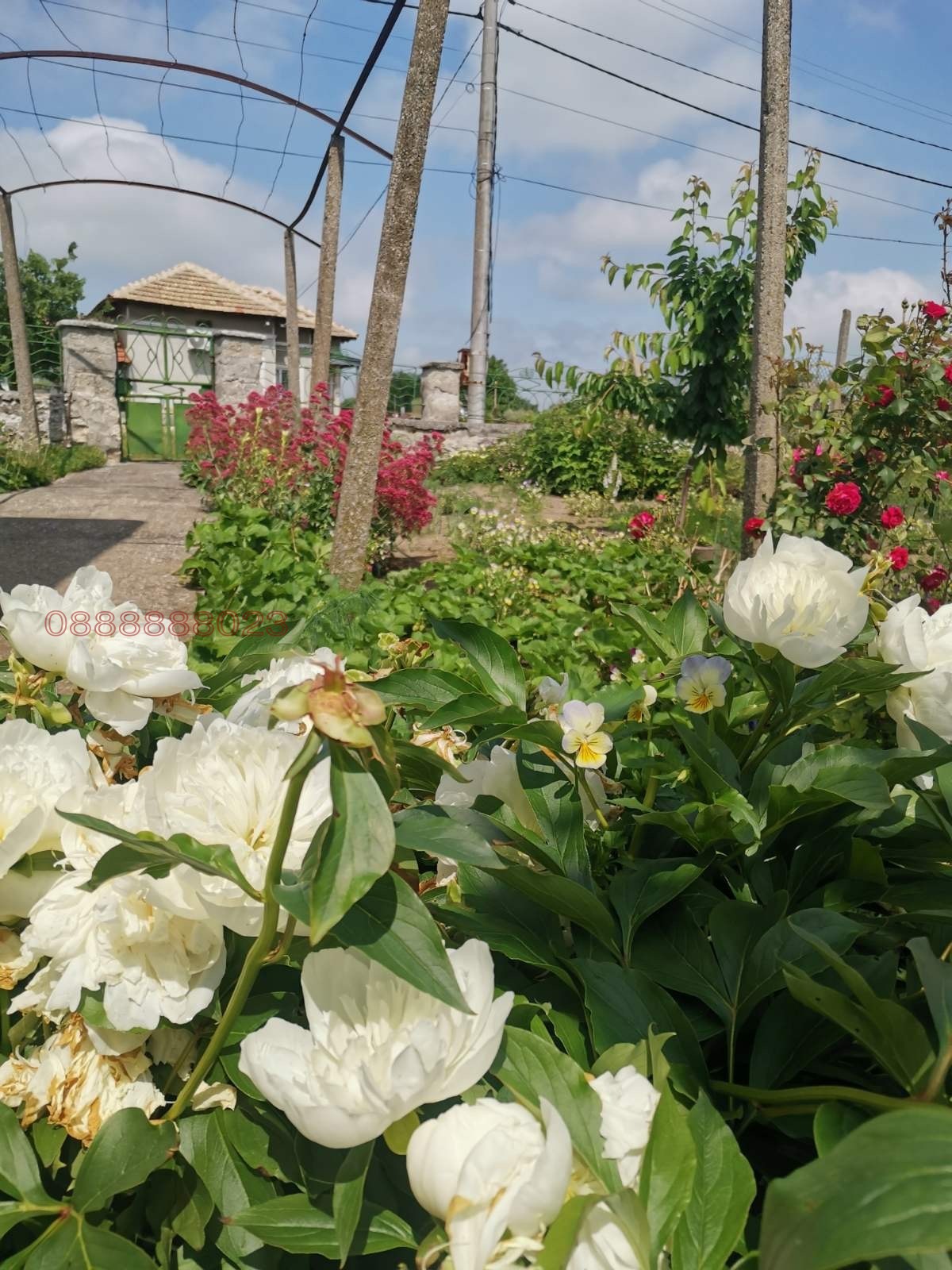������� ���� | Imot.bg � ����������� 9