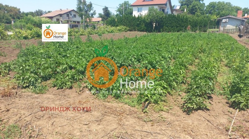 Til salgs  Hus region Dobrich , Krapets , 100 kvm | 38463088 - bilde [4]