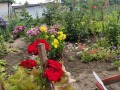 Продава  Къща област Добрич , с. Кардам , 112 кв.м | 38217194 - изображение [12]