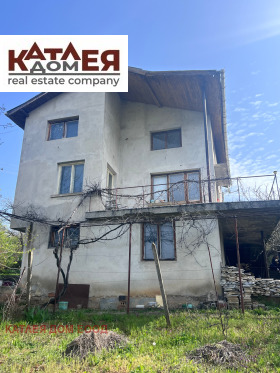 ������ ������� ����