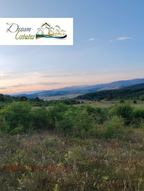 ����� ������� ������,�. �����������, ������ �����