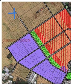 ����� ������� ������,���� ������, ������