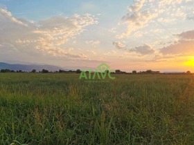 ����� ������� ������,���� �������, �������