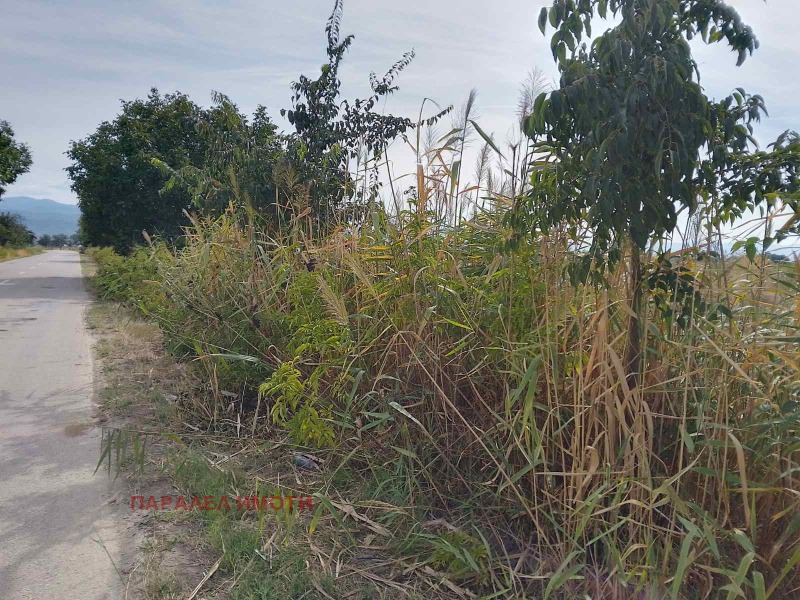 Till salu  Komplott region Plovdiv , Orizari , 2400 kvm | 73572064 - bild [4]