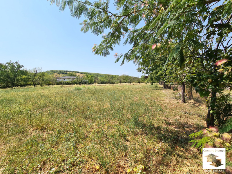 À venda  Trama região Veliko Tarnovo , Samovodene , 1206 m² | 94313570 - imagem [5]