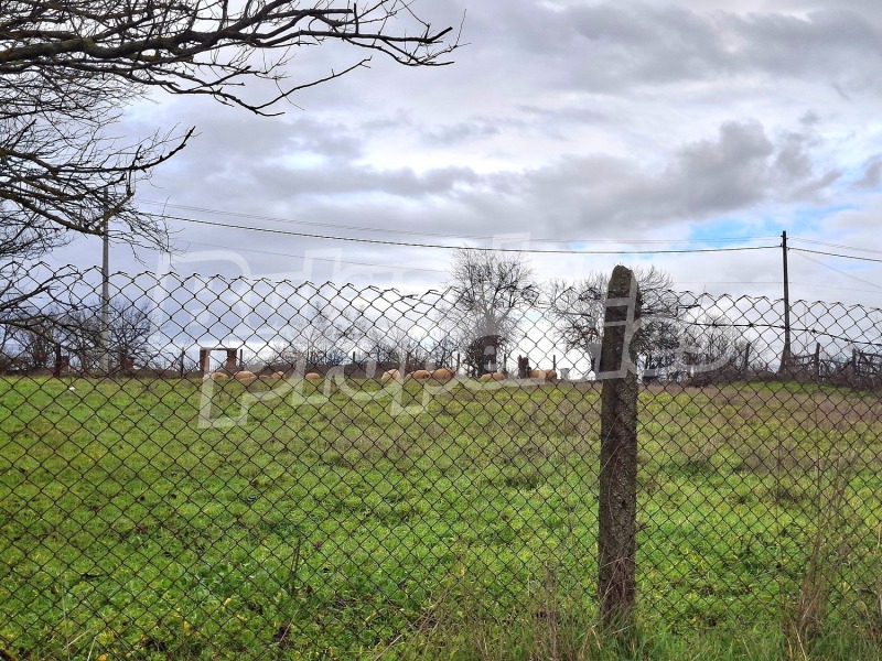 Продава ПАРЦЕЛ, с. Стефан Караджово, област Ямбол, снимка 12 - Парцели - 53033438