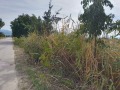 Продава ПАРЦЕЛ, област Пловдив, с. Оризари • 145500 € • 23221605 — Holmes.bg