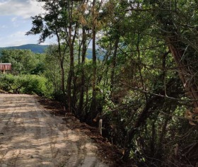 ������� ������ | Imot.bg � ����� ������ 2