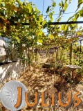 Продава КЪЩА, област Пловдив, с. Труд • 85000 € • 52501718 — Holmes.bg