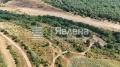 Продава  Парцел област Варна , с. Бенковски , 9765 кв.м | 63794759 - изображение [6]
