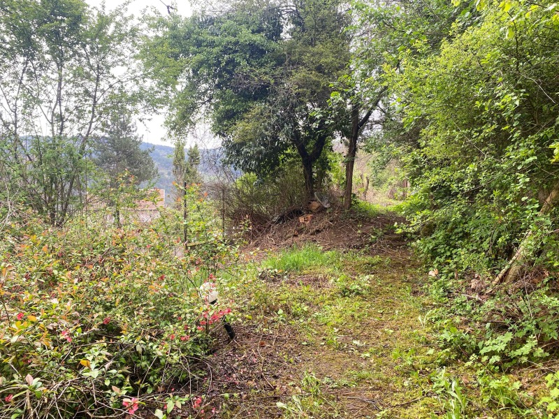Til salg  Hus region Sofia , Lukovo , 30 kvm | 69361190 - billede [5]