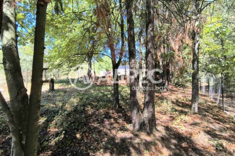 Na sprzedaż  Działka Sofia , Wojnegowci , 973 mkw | 95386606 - obraz [2]
