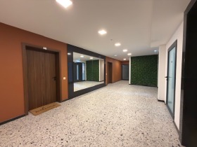 ����� ������� 3-�����,���� �����, ���� ����� 2