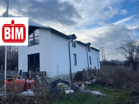 ������ ������� ����