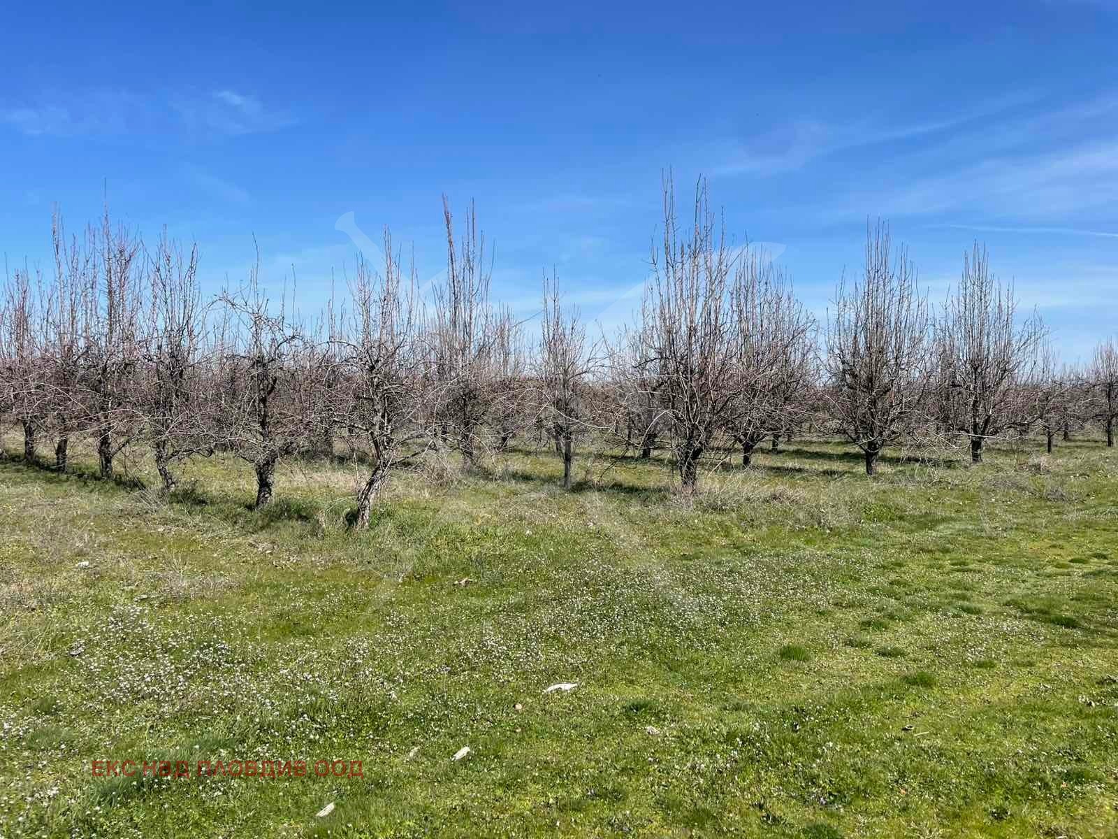 Продава ПАРЦЕЛ, с. Цалапица, област Пловдив