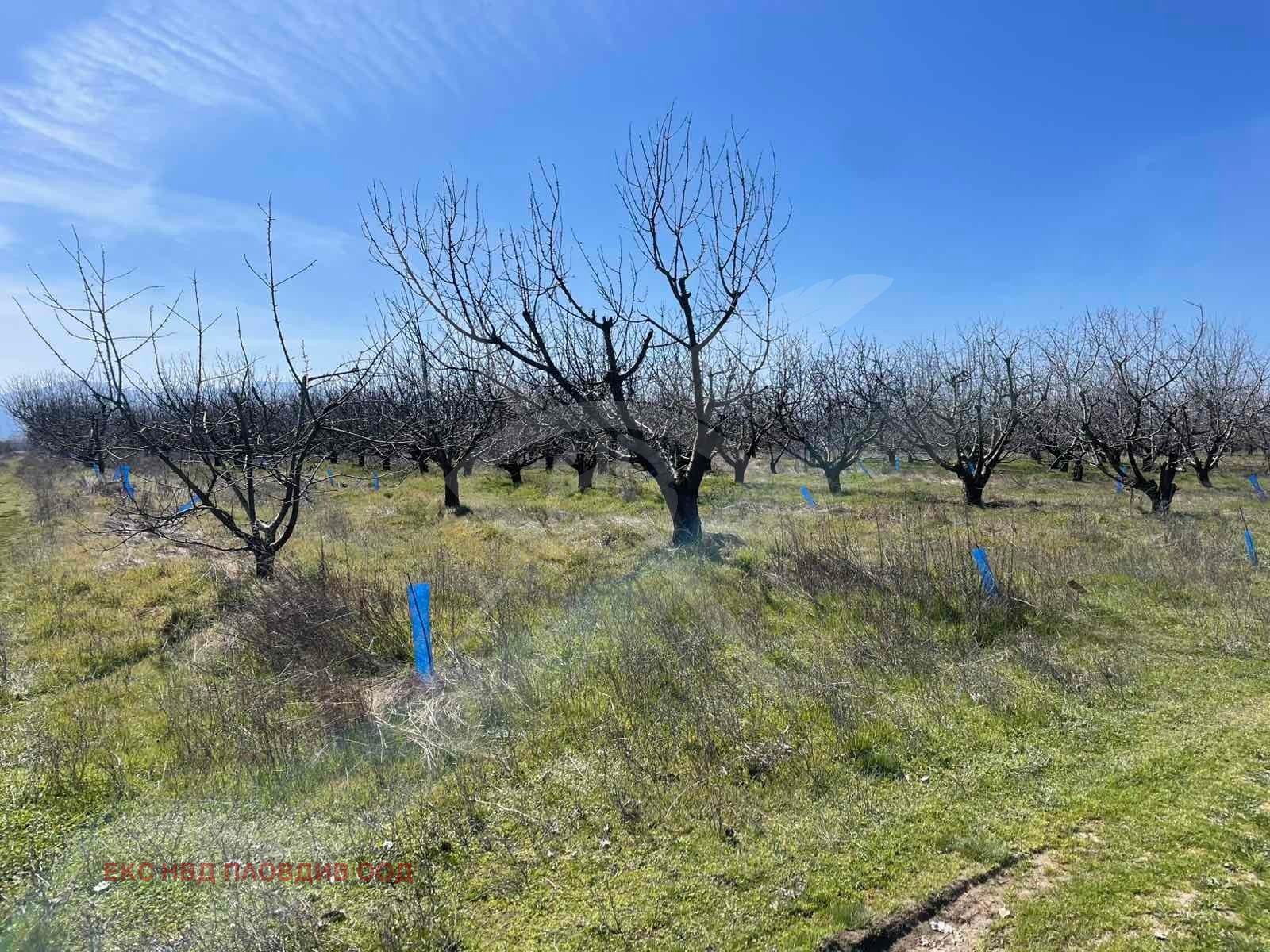 Продава ПАРЦЕЛ, с. Цалапица, област Пловдив, снимка 2 - Парцели - 54134054