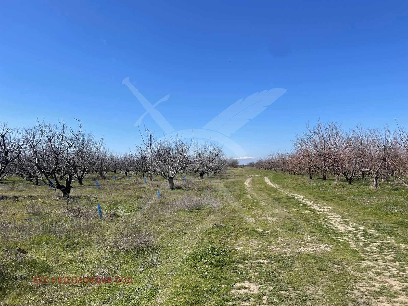 Продава ПАРЦЕЛ, с. Цалапица, област Пловдив, снимка 3 - Парцели - 54134054