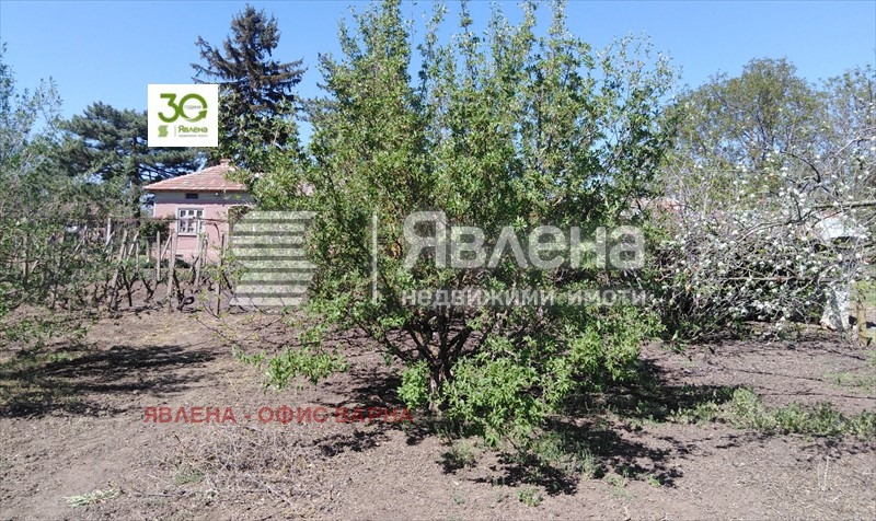 De vânzare  Casa regiunea Dobrich , Belgun , 200 mp | 91328548 - imagine [6]