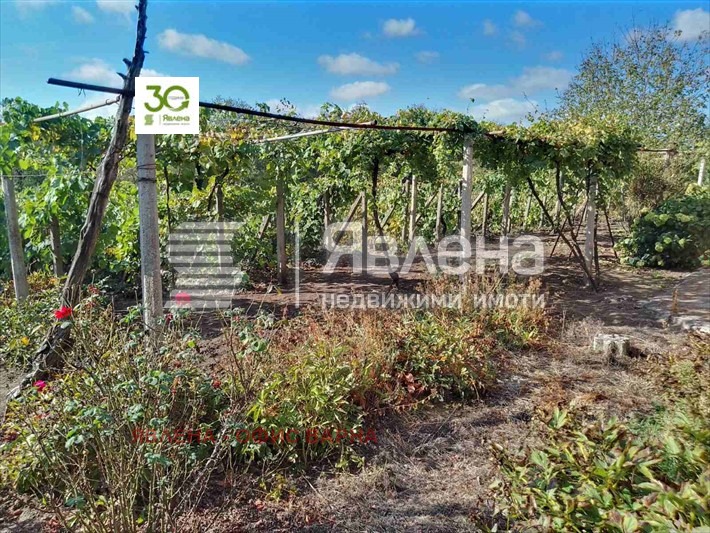 De vânzare  Casa regiunea Dobrich , Belgun , 200 mp | 91328548 - imagine [2]