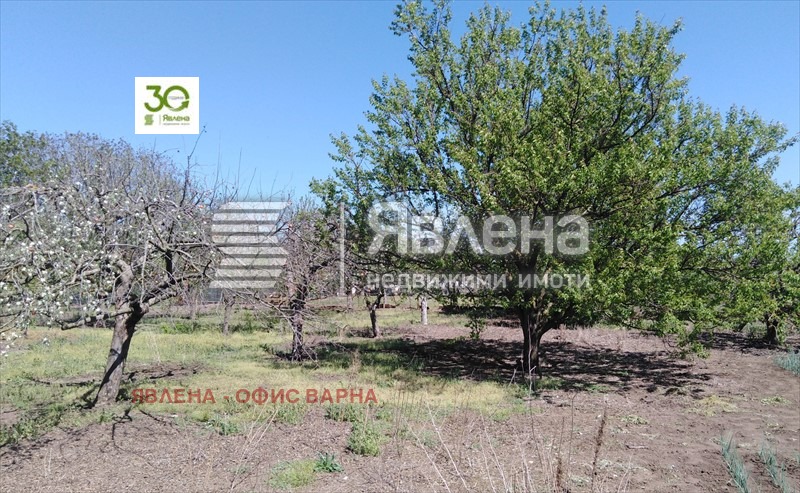 De vânzare  Casa regiunea Dobrich , Belgun , 200 mp | 91328548 - imagine [7]