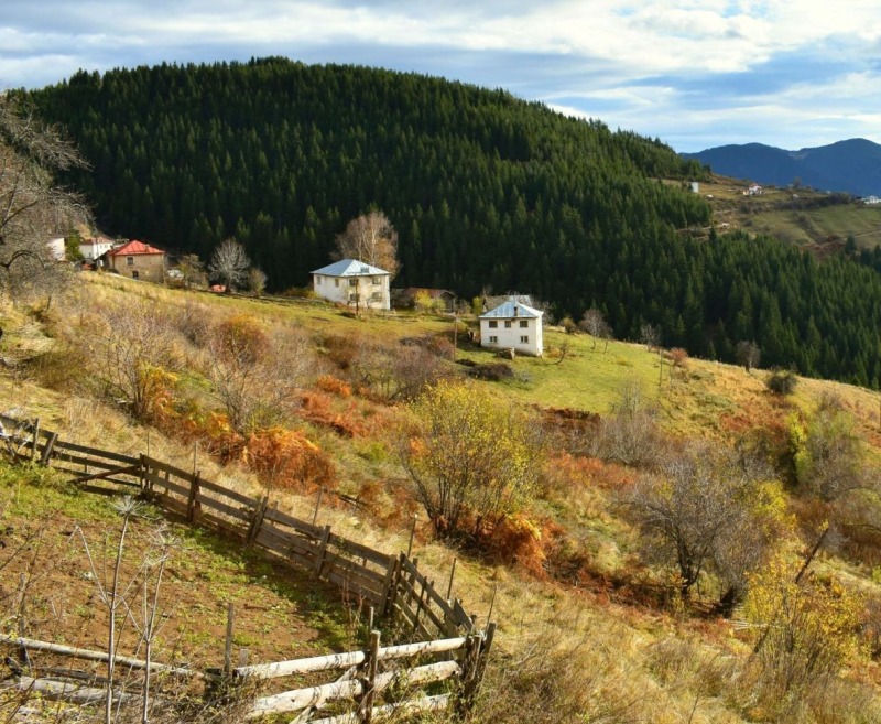 Продава ПАРЦЕЛ, с. Зорница, област Смолян, снимка 2 - Парцели - 53451862