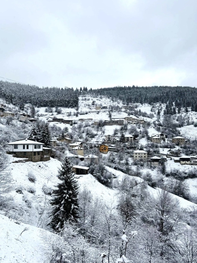 Продава ПАРЦЕЛ, с. Зорница, област Смолян, снимка 3 - Парцели - 53451862