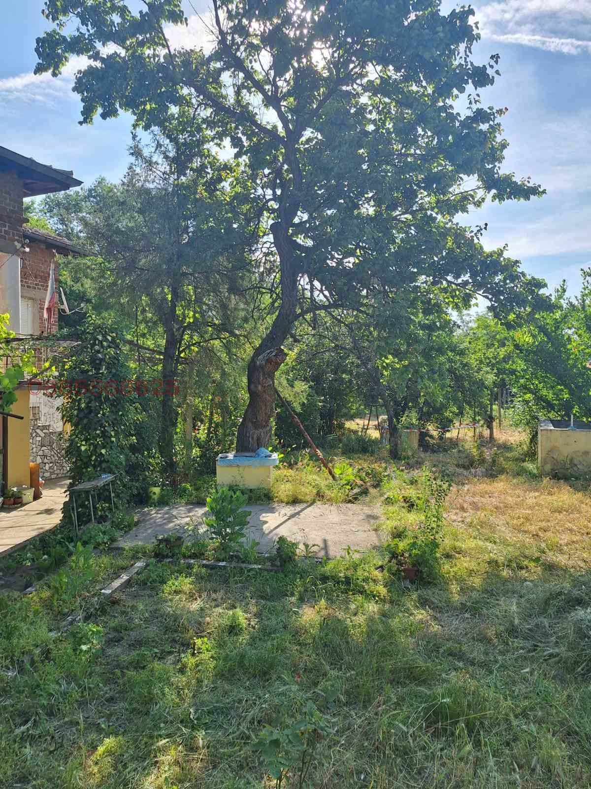 Продава КЪЩА, с. Виноградец, област Пазарджик, снимка 6 - Къщи - 54812594