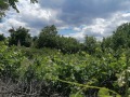 Продава ПАРЦЕЛ, гр. Добрич, м-т Газибаба, снимка 5