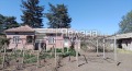 Продава КЪЩА, област Добрич, с. Белгун • 19900 € • 91663569 — Holmes.bg