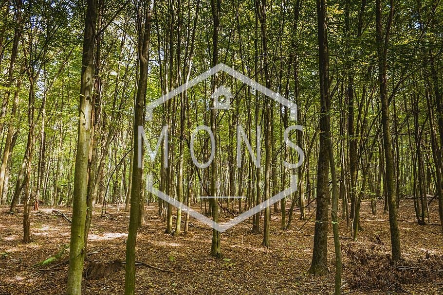 Продава ПАРЦЕЛ | Imot.bg — изображение 1