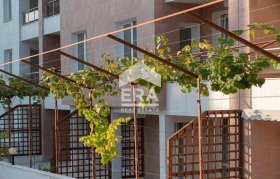 Estudio Byala, región Varna 6