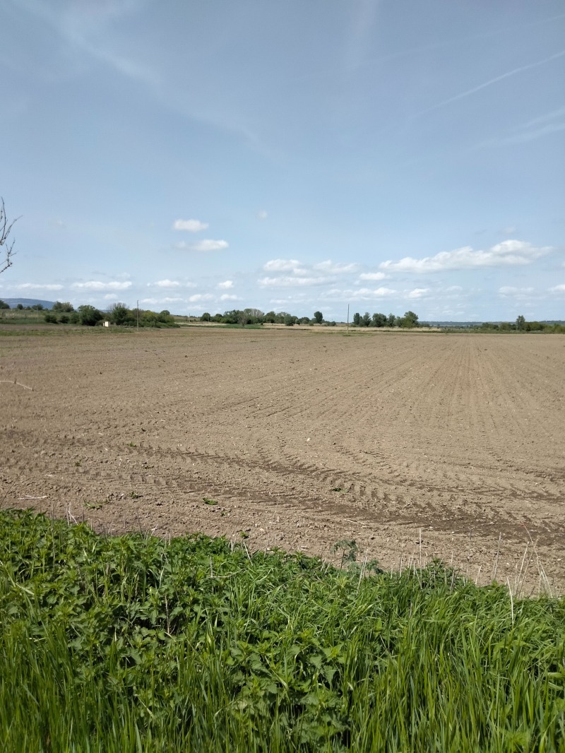 Продава ЗЕМЕДЕЛСКА ЗЕМЯ, с. Ветрище, област Шумен, снимка 6 - Земеделска земя - 52925162