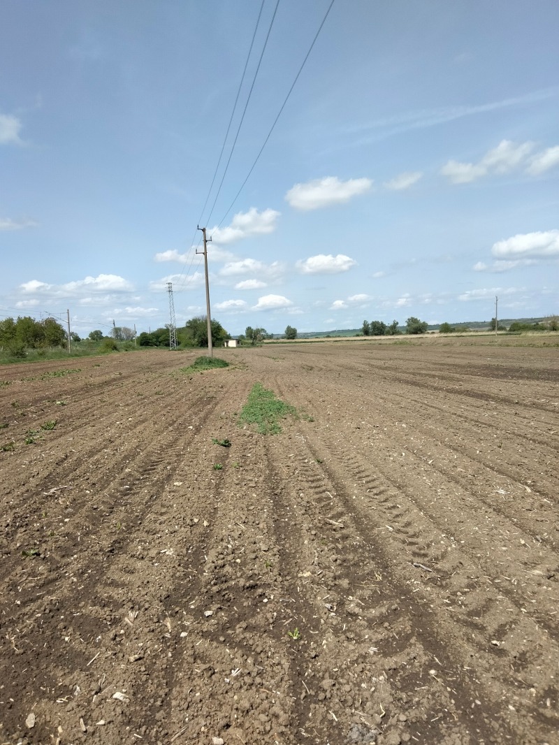 Продава ЗЕМЕДЕЛСКА ЗЕМЯ, с. Ветрище, област Шумен, снимка 5 - Земеделска земя - 52925162