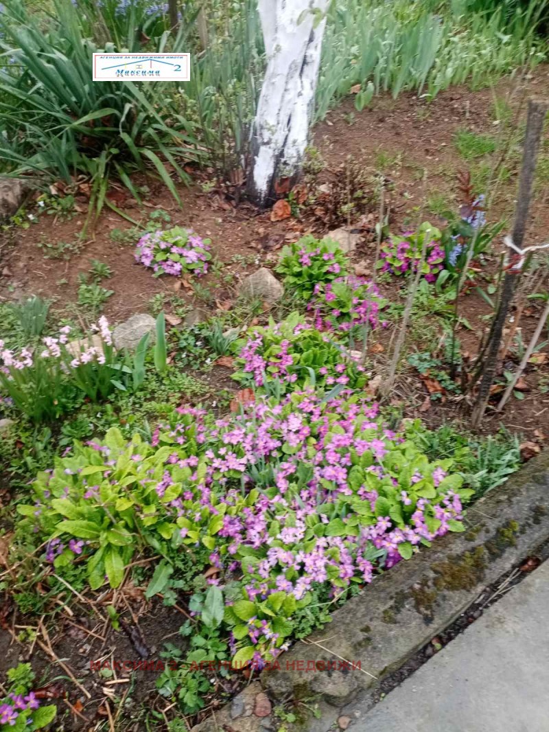 Продава КЪЩА, с. Ласкар, област Плевен