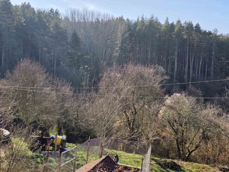 Продава КЪЩА, гр. Кюстендил, Колуша, снимка 3 - Къщи - 52616392