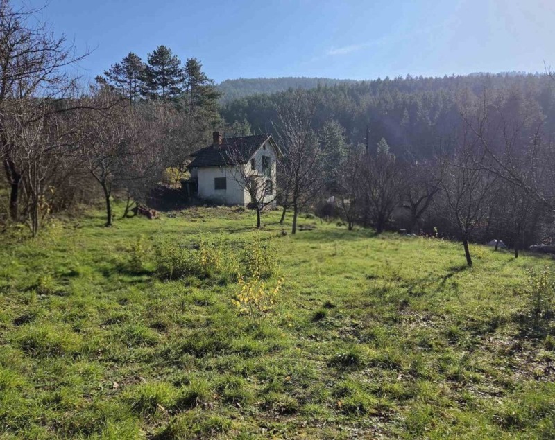 Продава КЪЩА, гр. Кюстендил, Колуша