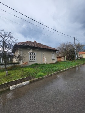 ����� ������� ����,��. ������, ������ ������