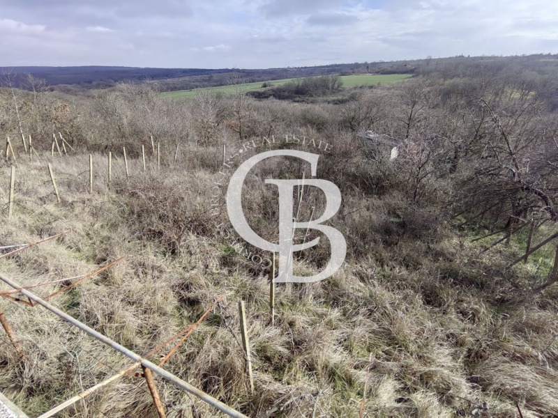 Продава ПАРЦЕЛ, гр. Варна, с. Звездица, снимка 2 - Парцели - 53415392