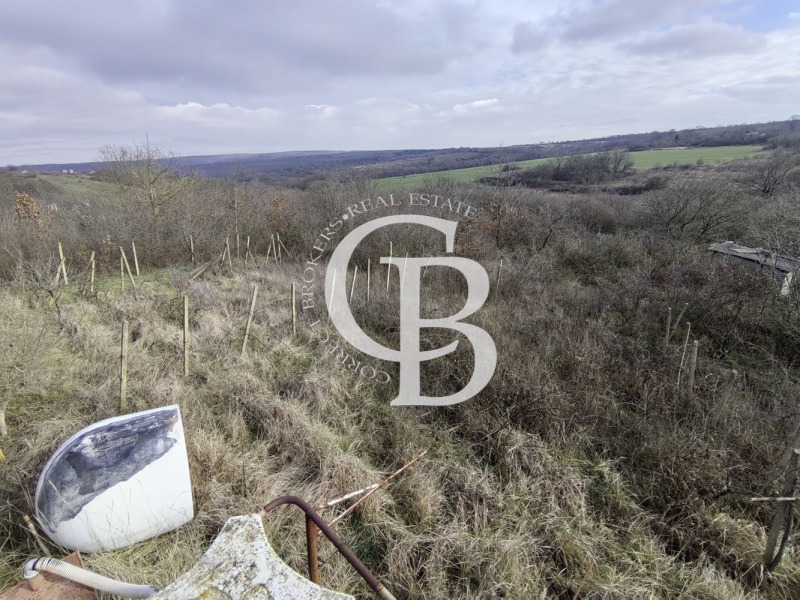 Продава ПАРЦЕЛ, гр. Варна, с. Звездица, снимка 4 - Парцели - 53415392