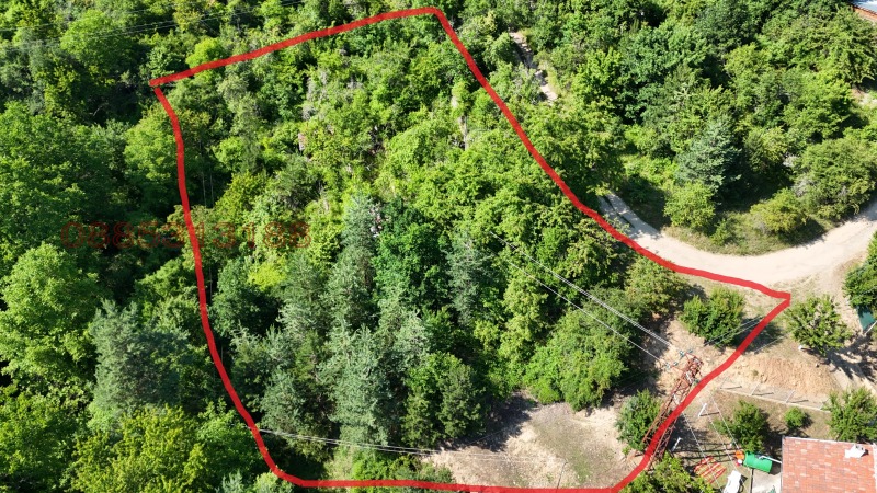 Продава ЗЕМЕДЕЛСКА ЗЕМЯ, с. Богослов, област Кюстендил, снимка 11 - Земеделска земя - 52779520