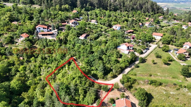 Продава ЗЕМЕДЕЛСКА ЗЕМЯ, с. Богослов, област Кюстендил, снимка 4 - Земеделска земя - 52779520