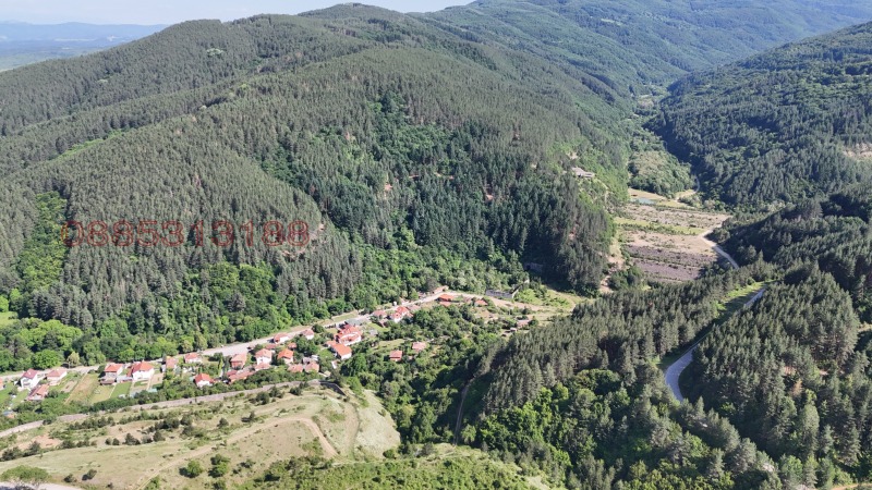 Продава ЗЕМЕДЕЛСКА ЗЕМЯ, с. Богослов, област Кюстендил, снимка 10 - Земеделска земя - 52779520