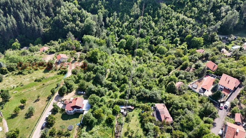 Продава ЗЕМЕДЕЛСКА ЗЕМЯ, с. Богослов, област Кюстендил, снимка 8 - Земеделска земя - 52779520