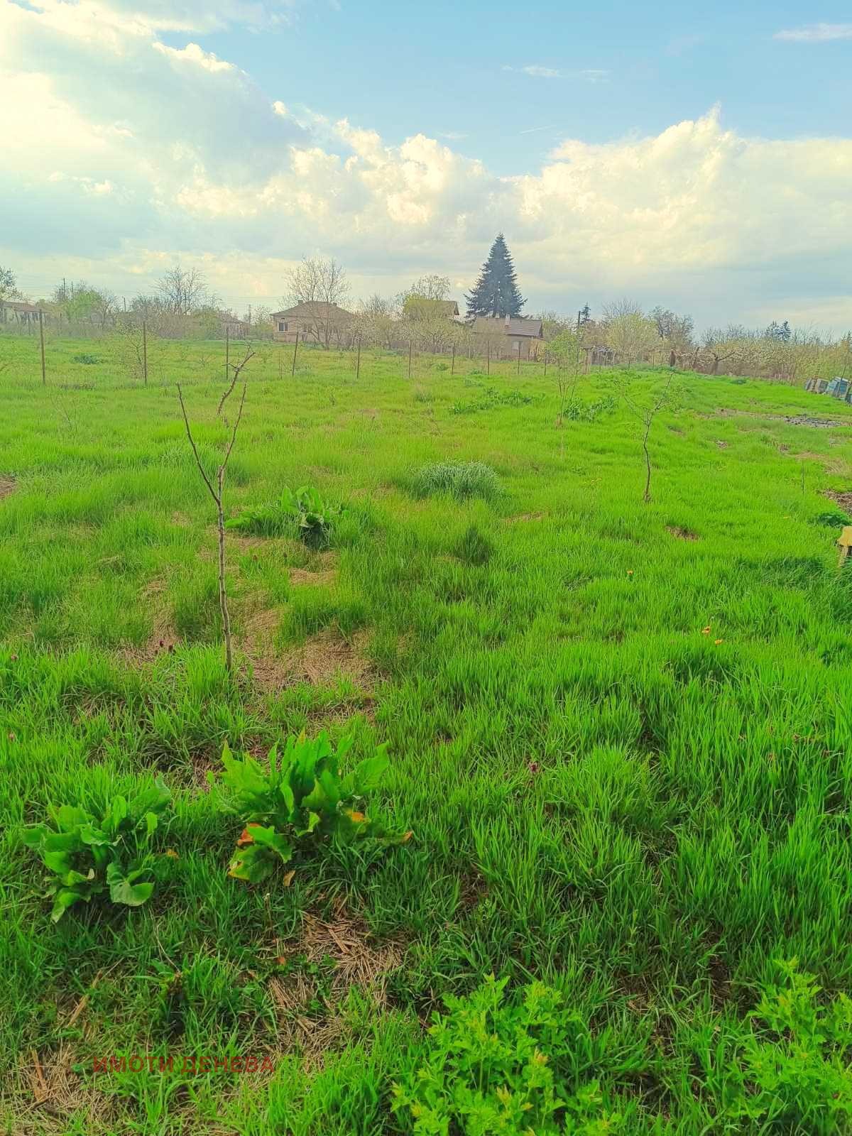 Продава ПАРЦЕЛ, с. Безводица, област Добрич, снимка 2 - Парцели - 55309786